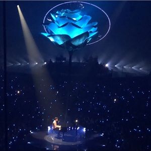 Meet your Posher, Frances